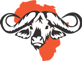 Shingalana Safaris